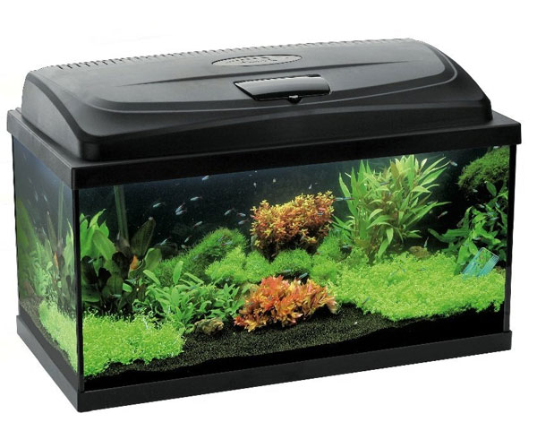 acquario-aquael-leddy-100-200-litri