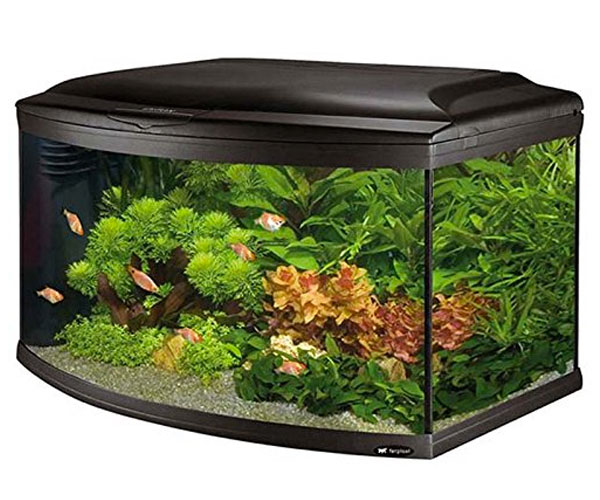 acquario-cayman-80-scenic-150-litri