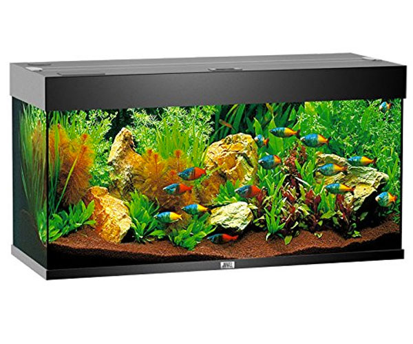 acquario-juwel-rio-180-litri
